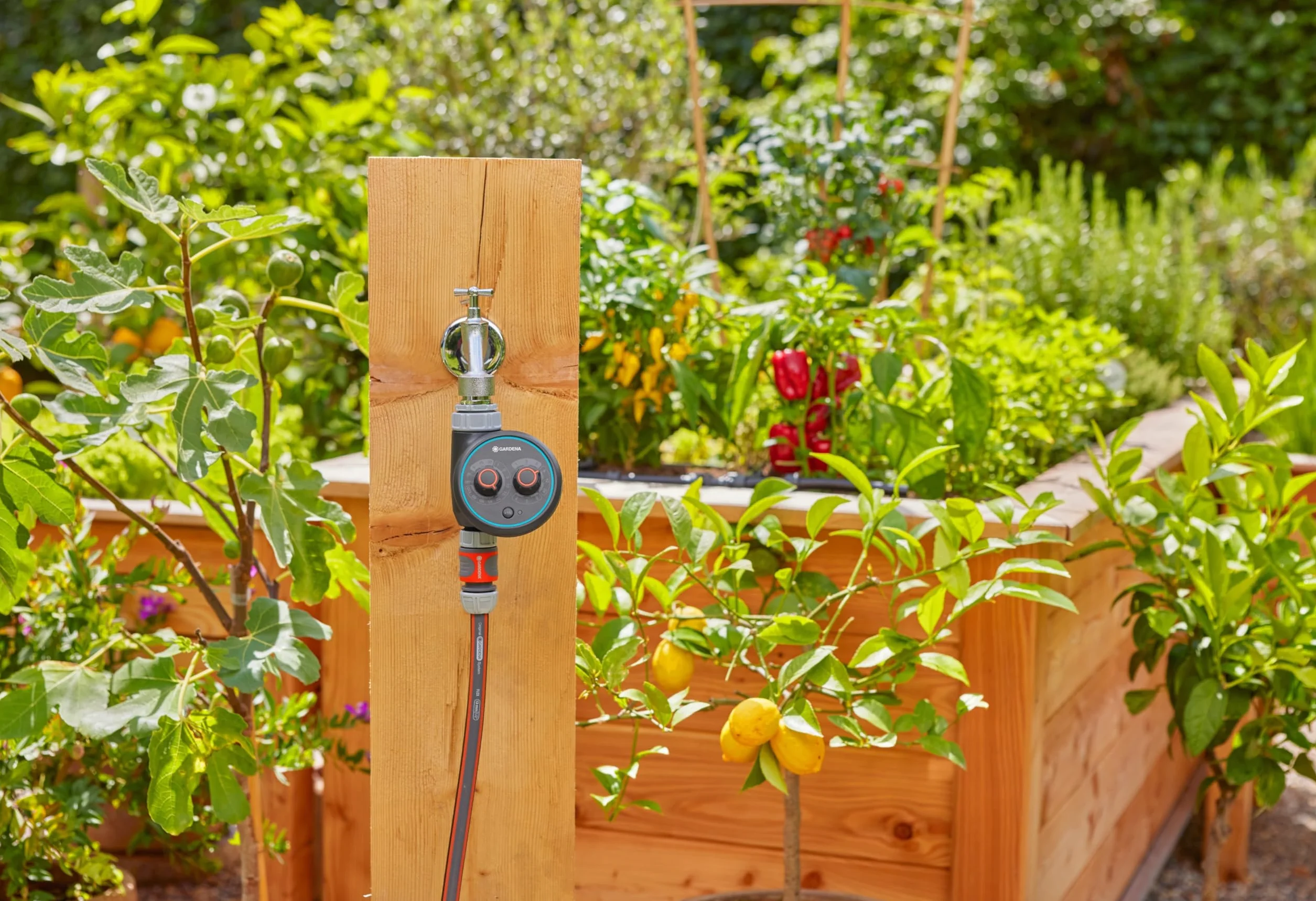 Gardena Controllo irrigazione acqua Control EasyPlus: 69 programmi di irrigazione predefiniti, controllo manuale, funzionamento facile (1897-20)