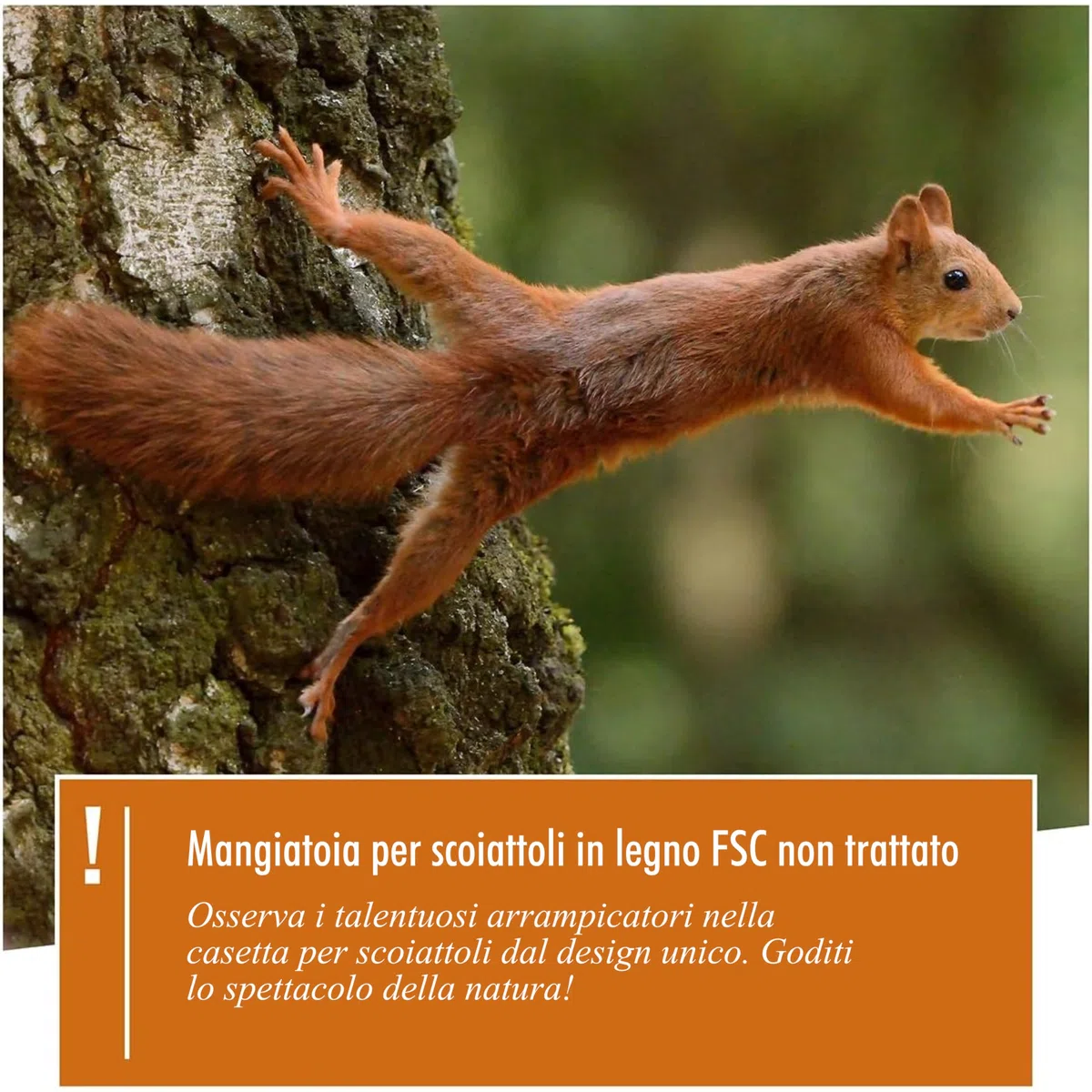 Görges Markenwelt Naturale Mangiatoia per Scoiattoli, da Appendere - Casa di Scoiattolo e Nido - Resistente alle Intemperie Mangiatoia per Giardino - Legno Naturale - Ecologico per Scoiattoli