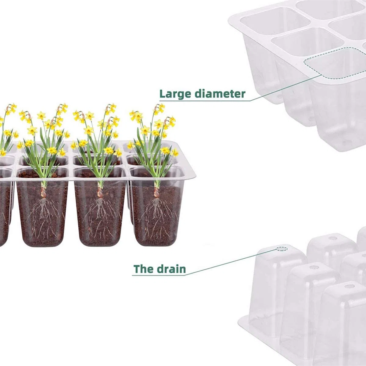 Vassoio Germinazione, 12 Pezzi Scatola di Germinazione, 12Fori Set di Propagazione dei Semi, Vassoi per Piante con Cupole Ventilate, per Germinazione, Strumento di Coltivazione in Mini Serra