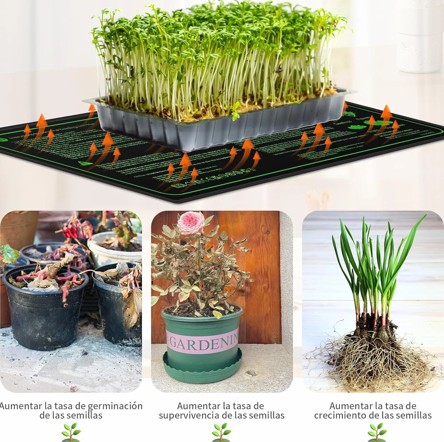 Tappeto Riscaldante, Tappetino Riscaldante con Termostato, Tappeto Riscaldante Impermeabile e Durevole Temperatura Regolabile, per la germinazione dei Semi, 20 x 10 in 30 W