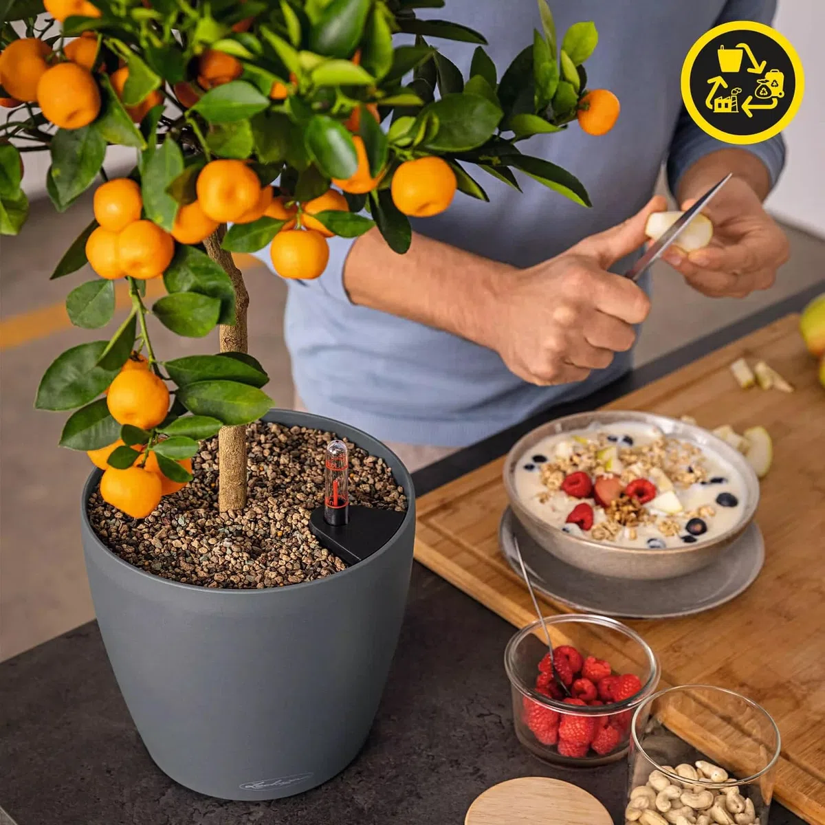 LECHUZA - Vaso per piante Classic Color ECO 35, grigio scuro, con sistema di irrigazione e indicatore del livello dell'acqua, in plastica riciclata al 100%