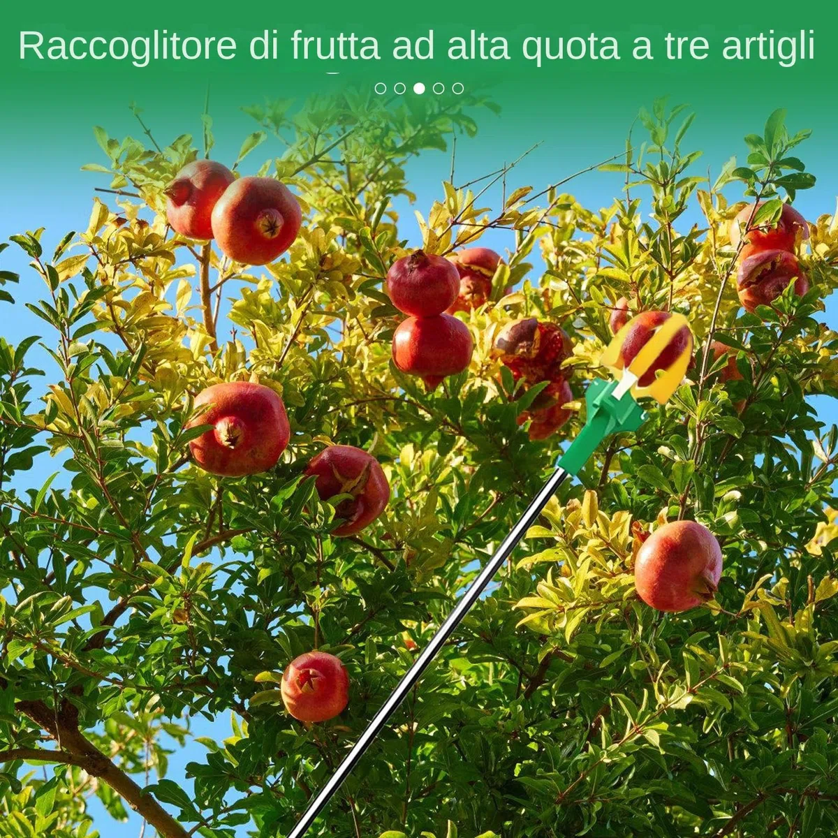 Asta Per Raccolta Della Frutta - Attrezzo Telescopico a Tre Artigli per Raccogliere Frutta,Assistente Manuale Regolabile per Raccolto in Giardino e Frutteto