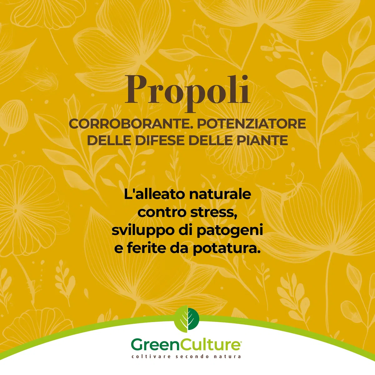 Propoli (PROPOLIS) 500ml GreenCulture