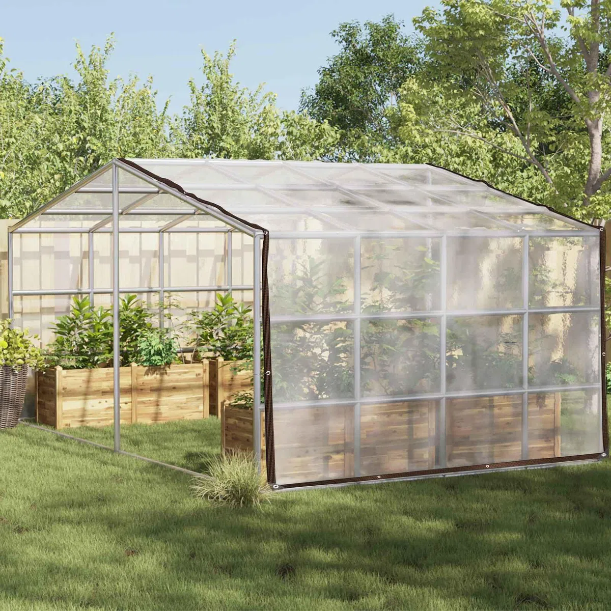 Telo con Occhielli Trasparente 5 x 10 m Polietilene, Casa e Giardino,Prato e Giardino,Giardinaggio,Pacciame, 5.4kg-3429323