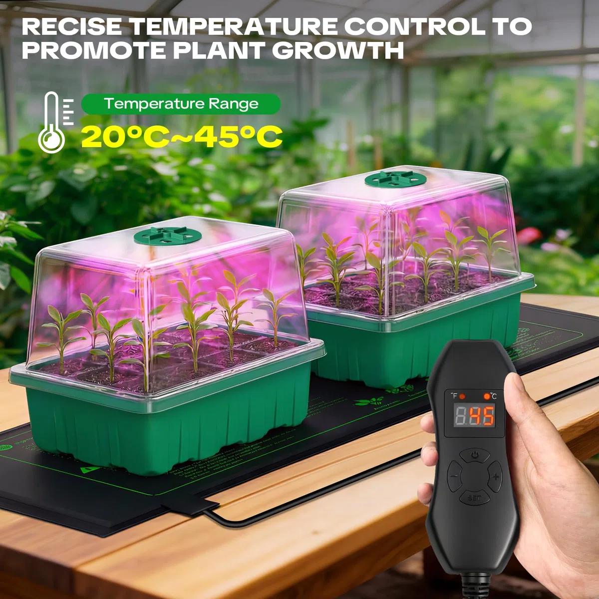 YAUNGEL Semenzaio Germinazione per Coltivazione con Lampada per Piante Tappetino Riscaldante, 5 pezzi Vassoio Germinazione per Coltivazione con Regolatore Termostatico Luminosità Regolabile