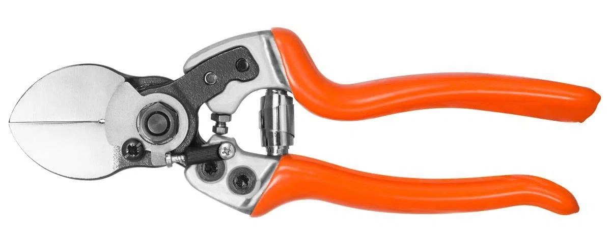 Forbice Ergo Light 21 manico ergo, lama asimm. centrale