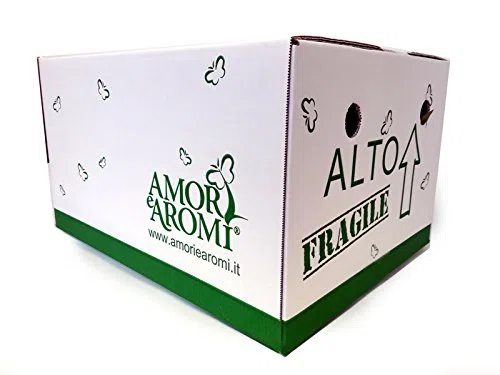 ERBE AROMATICHE in set da n.6 vasi per insaporire grigliate + set da n. 6 vasi per guarnire e aromatizzare COCKTAIL e TISANE (in vaso Ø 9 cm)