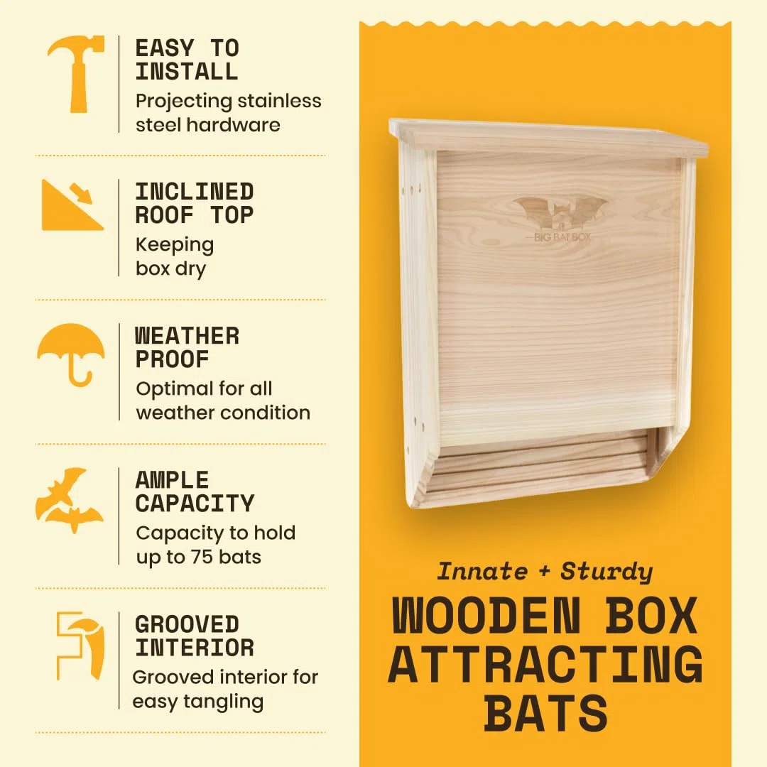Wildyard Bat House For Outdoors - rifugio per pipistrelli da esterno - Libera il tuo giardino dalle zanzare - Bat Box senza vernice all'interno - Una camera da letto per pipistrelli