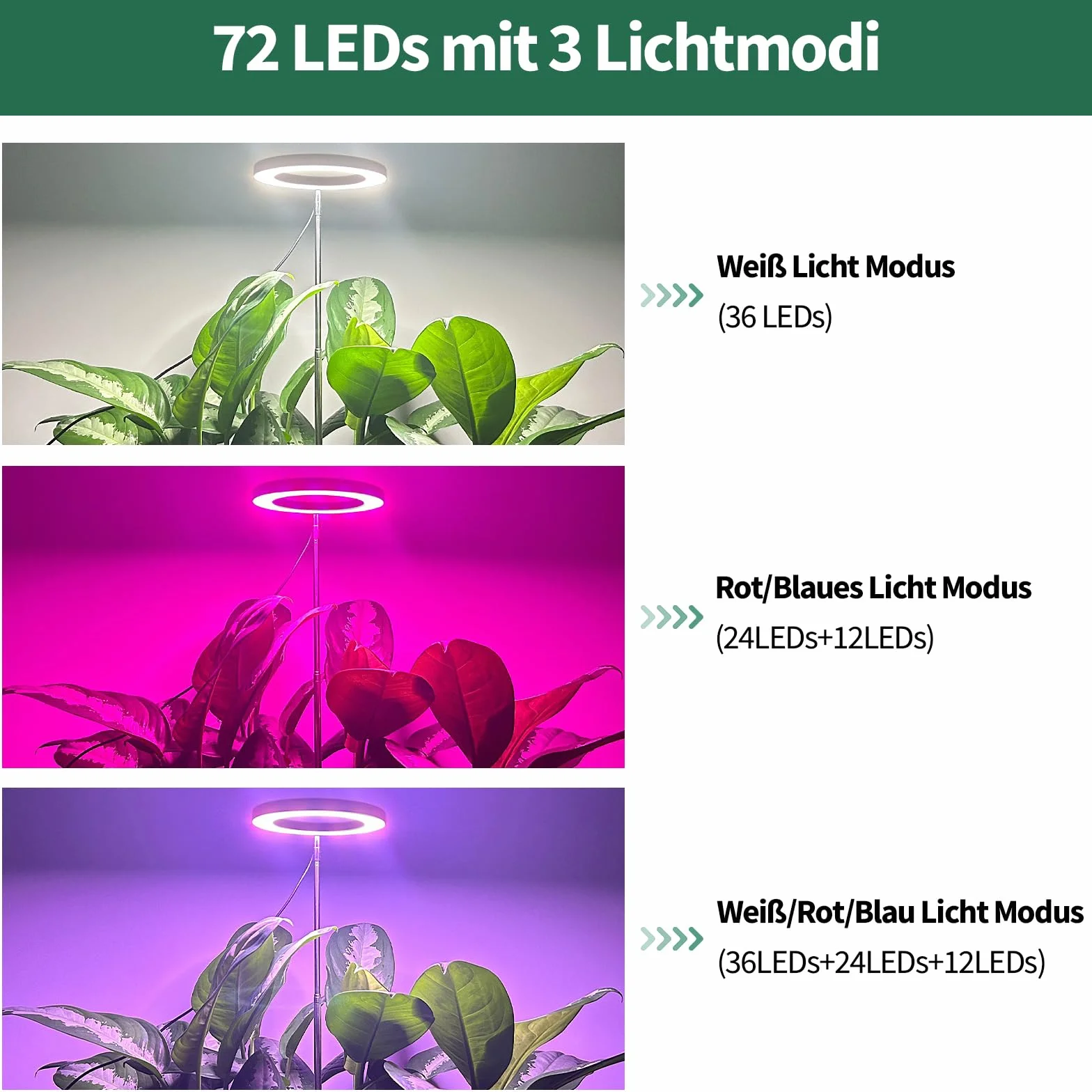 Qoolife Lampada a LED a spettro completo per piante da interno, 155 cm, altezza regolabile con 72 LED, 3 livelli di luminosità dimmerabili, timer 3/9/12 ore per piante da interni