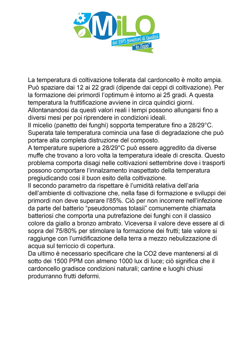Balletta per la Produzione Professionale di Funghi Cardoncelli Pleurotus Eryngii Ideale per la Coltivazione del Fungo Cardoncello Pugliese Substrato e Ceppo (6)