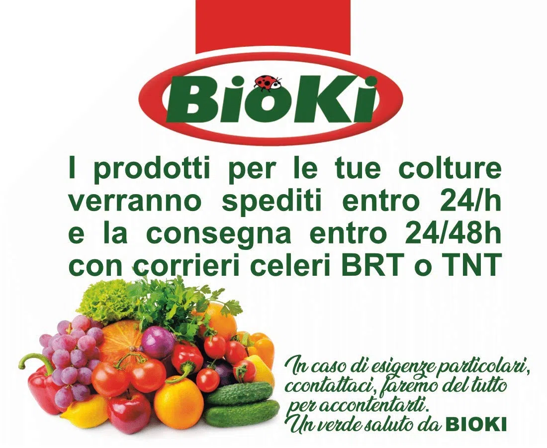Bioki Aceto concentrato per la Pulizia di viottoli ed Erbe infestanti, tanica da 20 Litri, Alto Titolo di Acido acetico