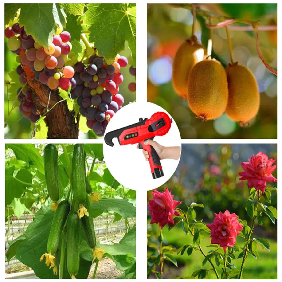 Legatrice elettrica per giardinaggio - Strumento di legatura automatica per viti e piante, strumento di fissaggio efficiente e portatile, attrezzatura da giardinaggio per vigneti