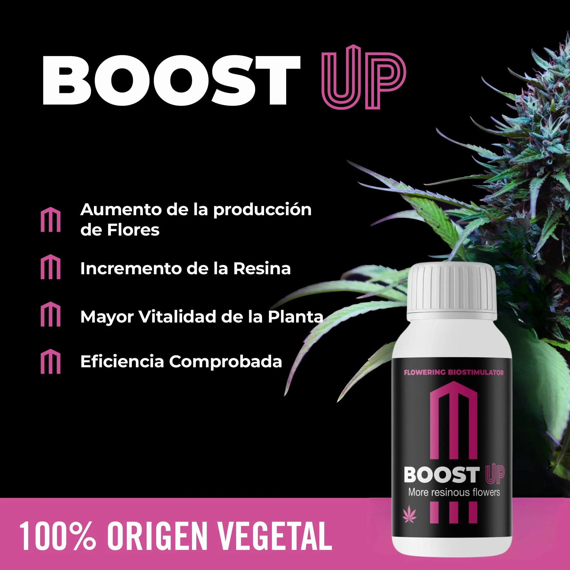 GROWMANIA Bio Heaven di BioBizz 250 ml + Probe Boost Up di Up Nutrients + misurino | Stimolatore di vitalità organico per piante | Per piccoli giardini e vasi di fiori