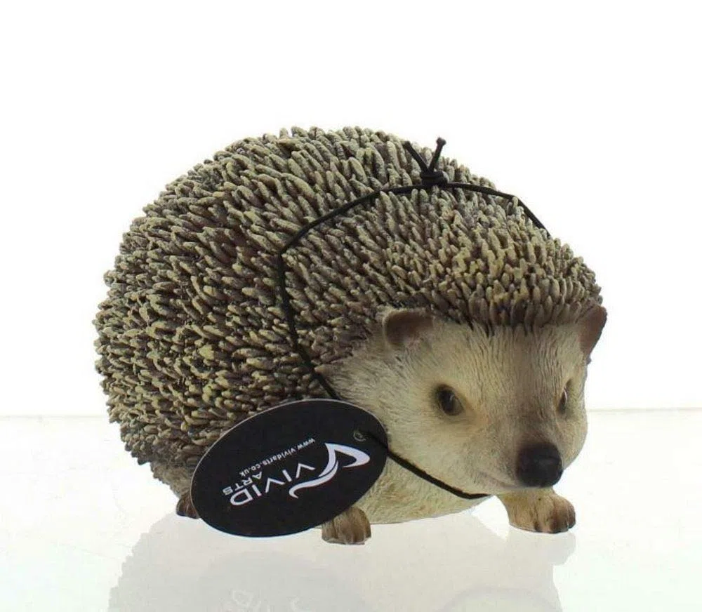 Vivid Arts Ltd Pet Pals - Statuetta in Resina a Forma di Riccio