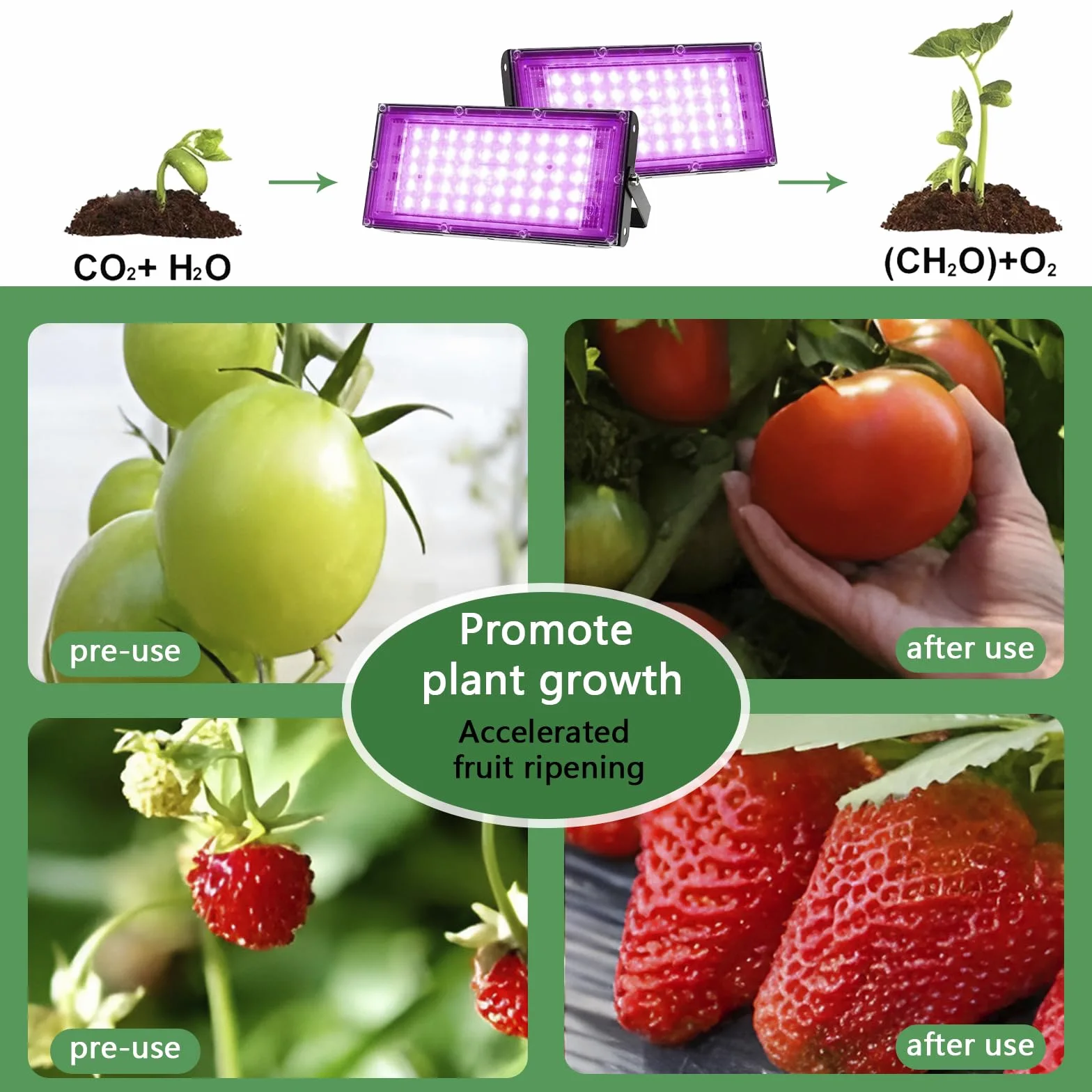 Lampada per piante, Grow Light LED Dimmerabile 50 Lumen Spettro Completo lampada per coltivazione con UV e IR Lampade per piante indoor, Verdure e fiori (B)