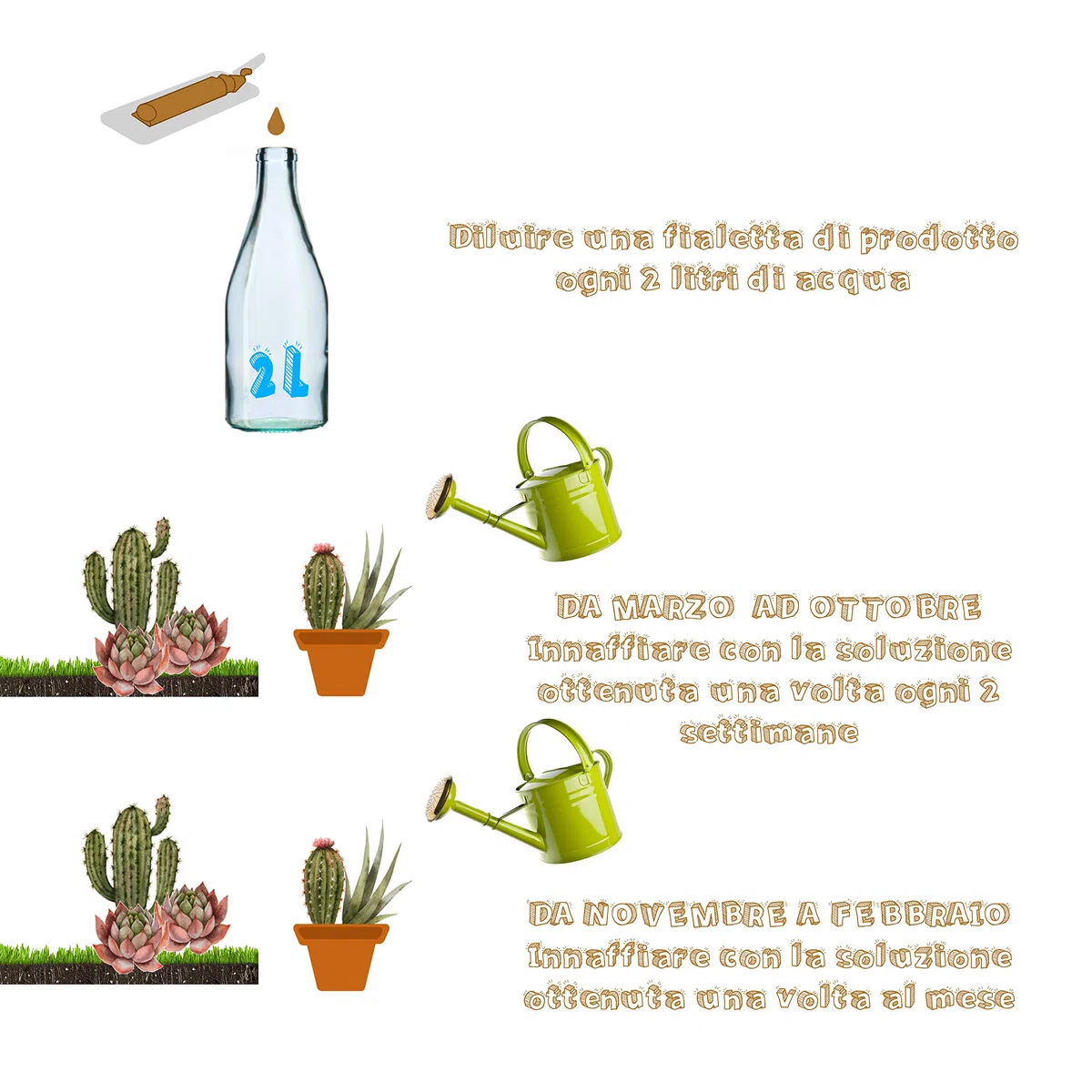 Succulents - Concime Biologico per Piante Grasse - Kit salvaspazio per piante grasse