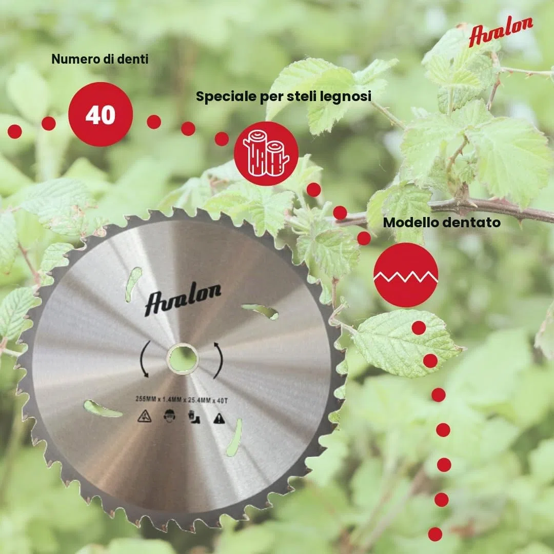 Avalon Pro - Disco professionale da 40 denti per decespugliatore, lama speciale per steli legnosi 255 x 1,4, lunghezza dente di widia 6,0 mm