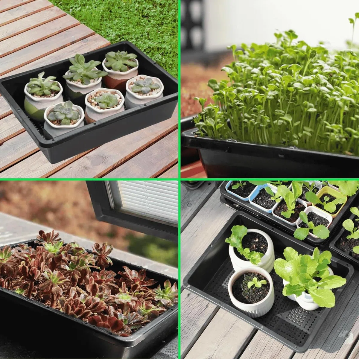 BeGrit 10 Pezzi Vassoi Semina Plastica 32 x 23 x 7.5 cm Germinazione Semina Vaschette Semenzaio vassoio per microgreens rettangolari semi in plastica per Serra Idroponica Giardino Verdura Frutta Seme