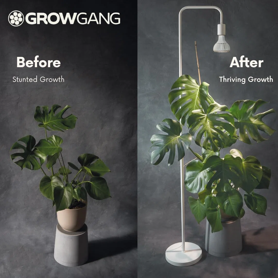 Coltiva luci per piante da interno, Lampadina a LED a spettro completo, luce per coltivazione indoor per piante grasse erbe e cactus, germinazione di piantine, E27, PPF μmol/s 33.1.