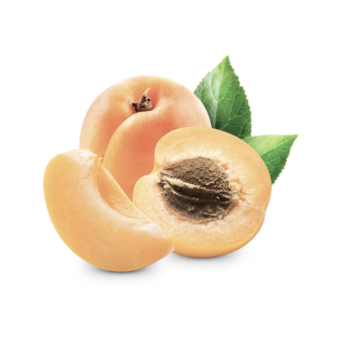 Albicocco Tardiva di Picciola Pianta da Frutto età 4 anni | Varietà tardiva Autofertile - Vaso 26 cm Altezza 180~200 cm