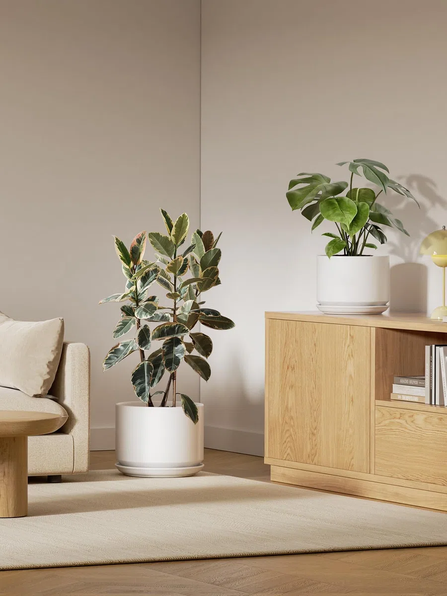 LE TAUCI Vaso per Piante da 30 cm, Vaso con Sottovaso Integrato e Foro di Drenaggio, Vaso in Ceramica Grande, Moderno e Resistente per Casa o Ufficio, Bianco Smalto Opaco