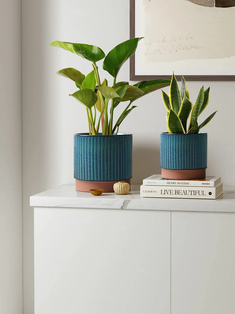 LE TAUCI Vasi per piante in ceramica, 20 + 16 + 14 cm con fori di drenaggio, uso interno/esterno, vasi da giardino a righe in stile moderno, verde smalto reattivo