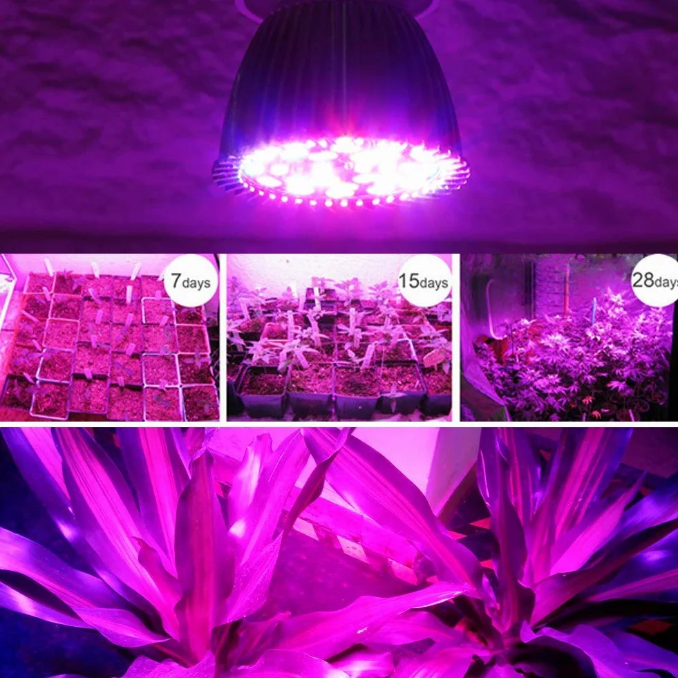 Zerodis LED Coltiva la lampada, 5W E27 Pannello ad Alta Potenza Spettro Completo 28 LED Lampada per Coltivazione Indoor Coltiva la lampadina per Serra Pianta Pianta in Vaso fiori
