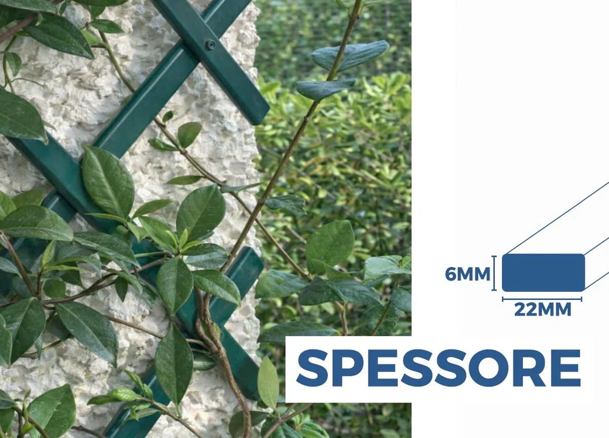 BIANCHERIAWEB Traliccio Estensibile in PVC per Piante Rampicanti Recinzione Giardino Balcone 100x200 Verde
