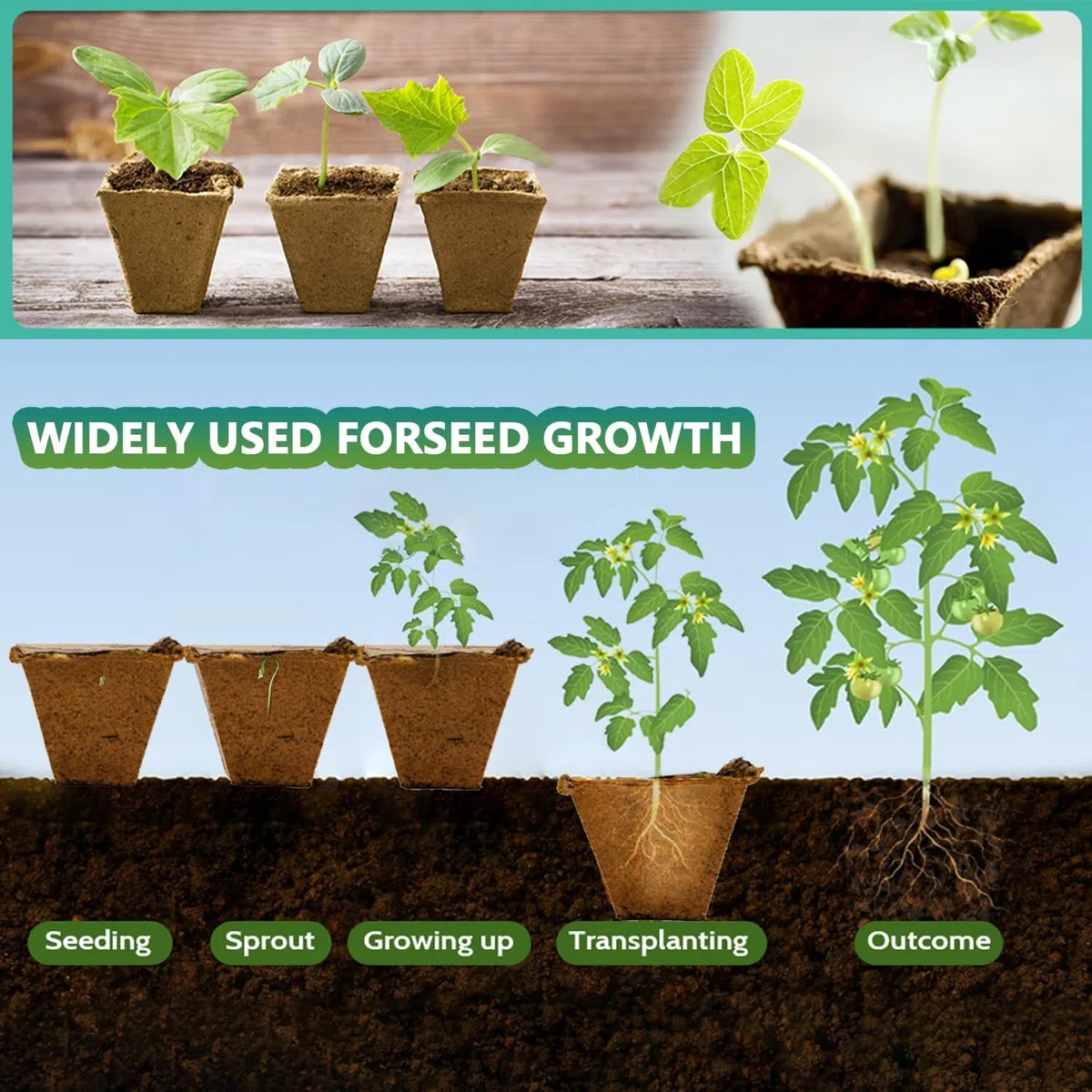 Vassoi per la Germinazione dei Semi, 10 Pezzi Semenzaio Germinazione, Vasetti Biodegradabili per Semina, Vasi da Coltivazione, Semenzaio da Torba con Etichette per Piante e Strumento di Semina