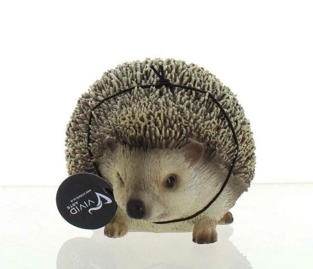 Vivid Arts Ltd Pet Pals - Statuetta in Resina a Forma di Riccio