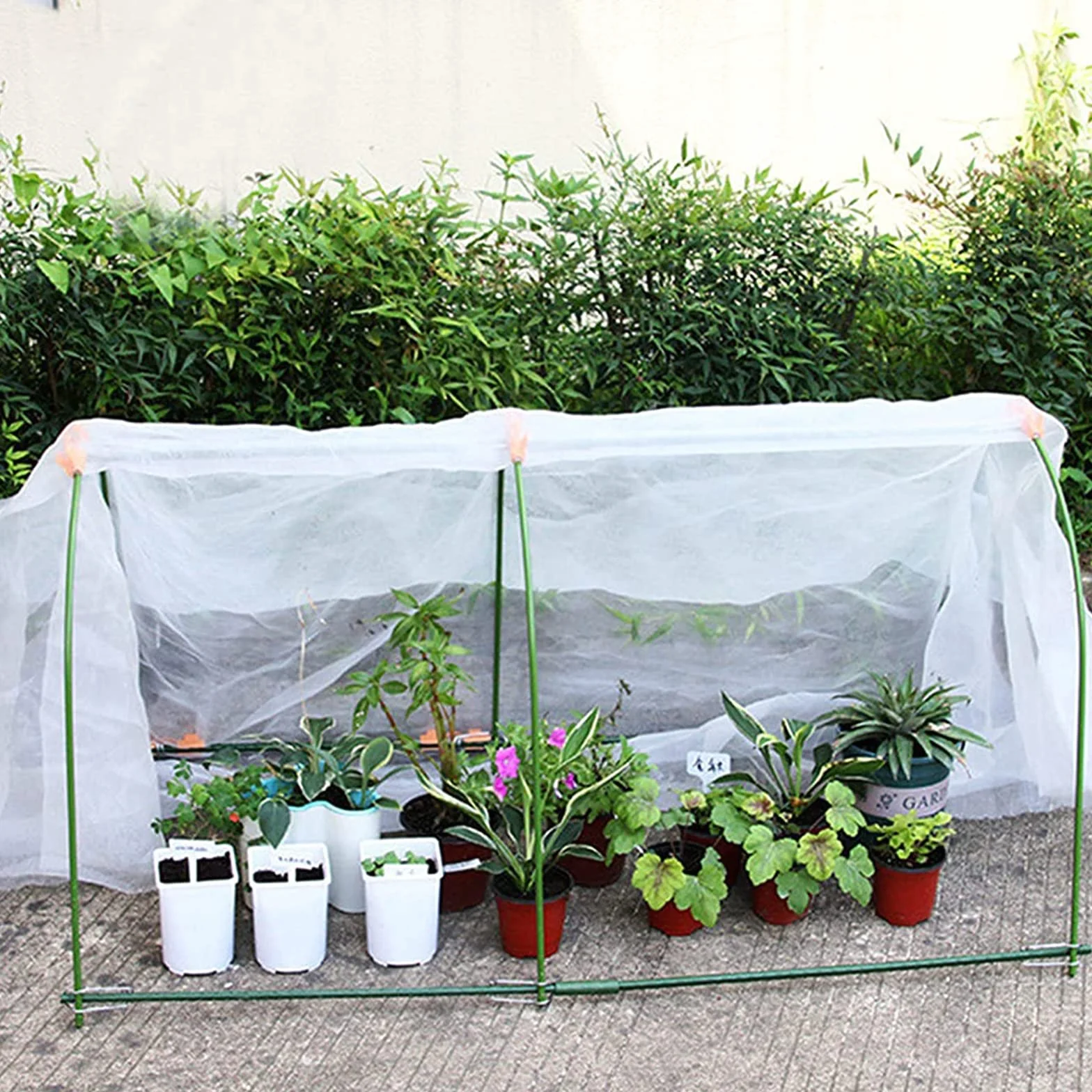 PALUDO 2 x 6M Telo di Ricambio in Polietilene Trasparente per Serre, Foglio di Ricambio in PVC per Serra Extra Spesso, Copertura Serra per Protezione delle Piante da Giardino (250Mu / 1000G)