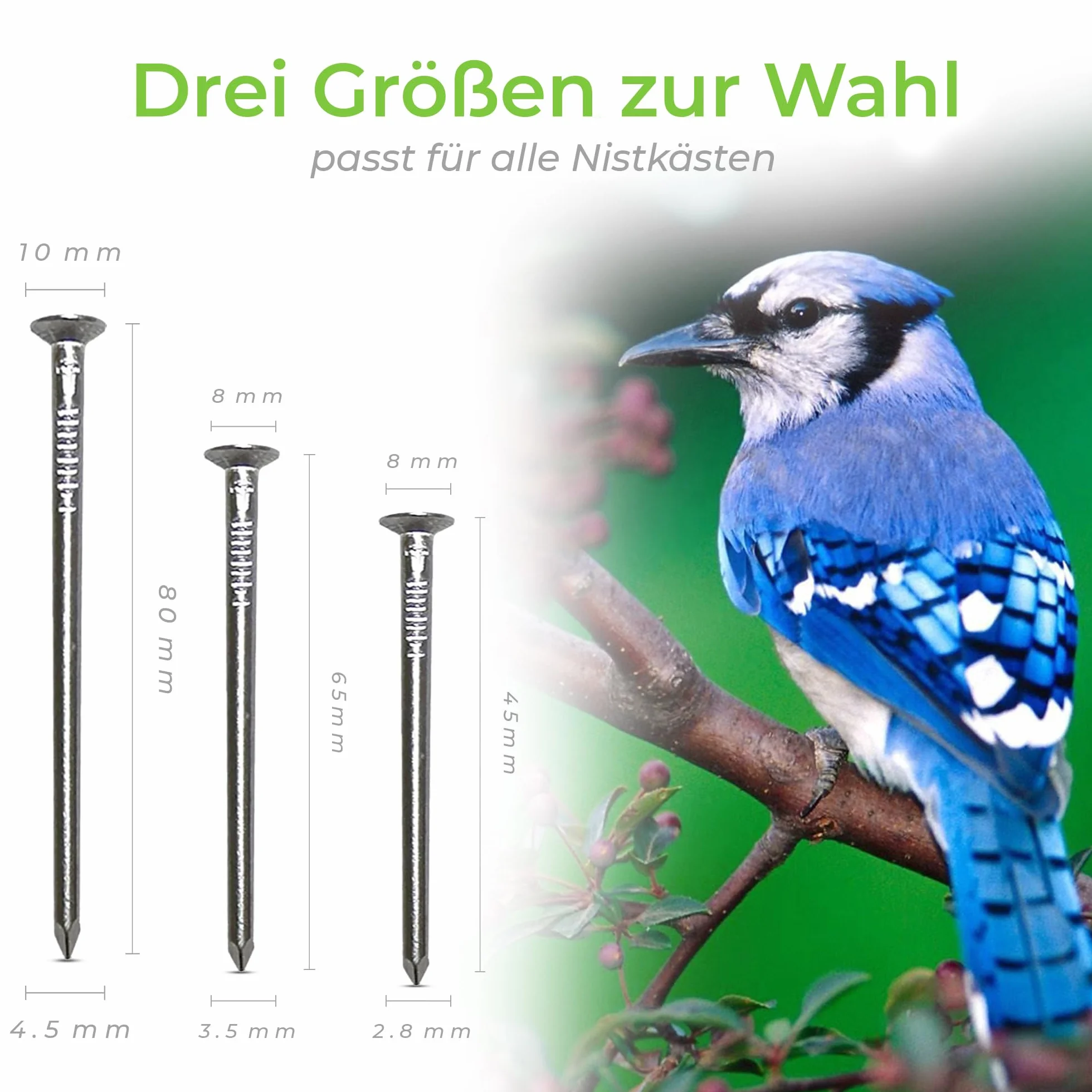 20x VEREI Alumini chiodi per cassette nido e mangiatoie | chiodi ecologici per alberi | chiodi in alluminio | fissaggi per abbeveratoi per uccelli (Mix: 5x80mm, 5x65mm, 10x45mm, 20)