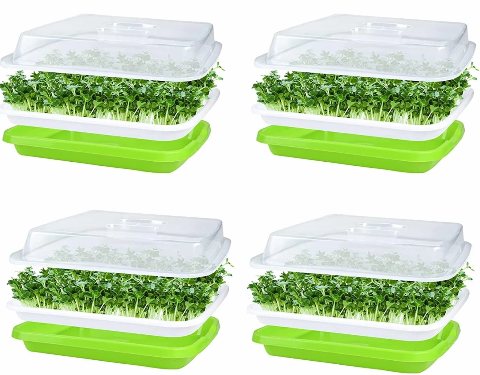KAHEIGN 4 Pezzi Vassoi per Germinazione dei Semi con Coperchio, 32cm x 26cm Vassoio di Germinazione di Grande Capacità Propagatore Idroponico Sano Senza BPA con 24 Carte per Piantare per Coltivazione