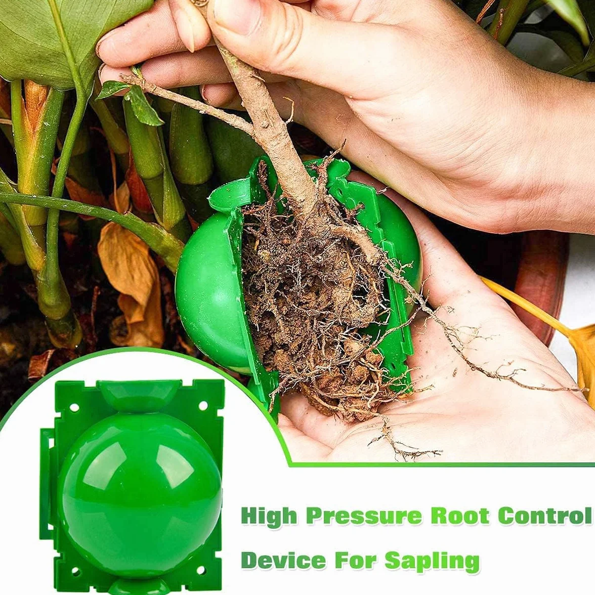20 Pezzi Scatola Radicamento Piante, Dispositivo di Radicazione delle Piante Palline per Propagazione ad Alta Pressione per Innesto da Giardino Coltivazione di Radici (S+M+L) (Verde)