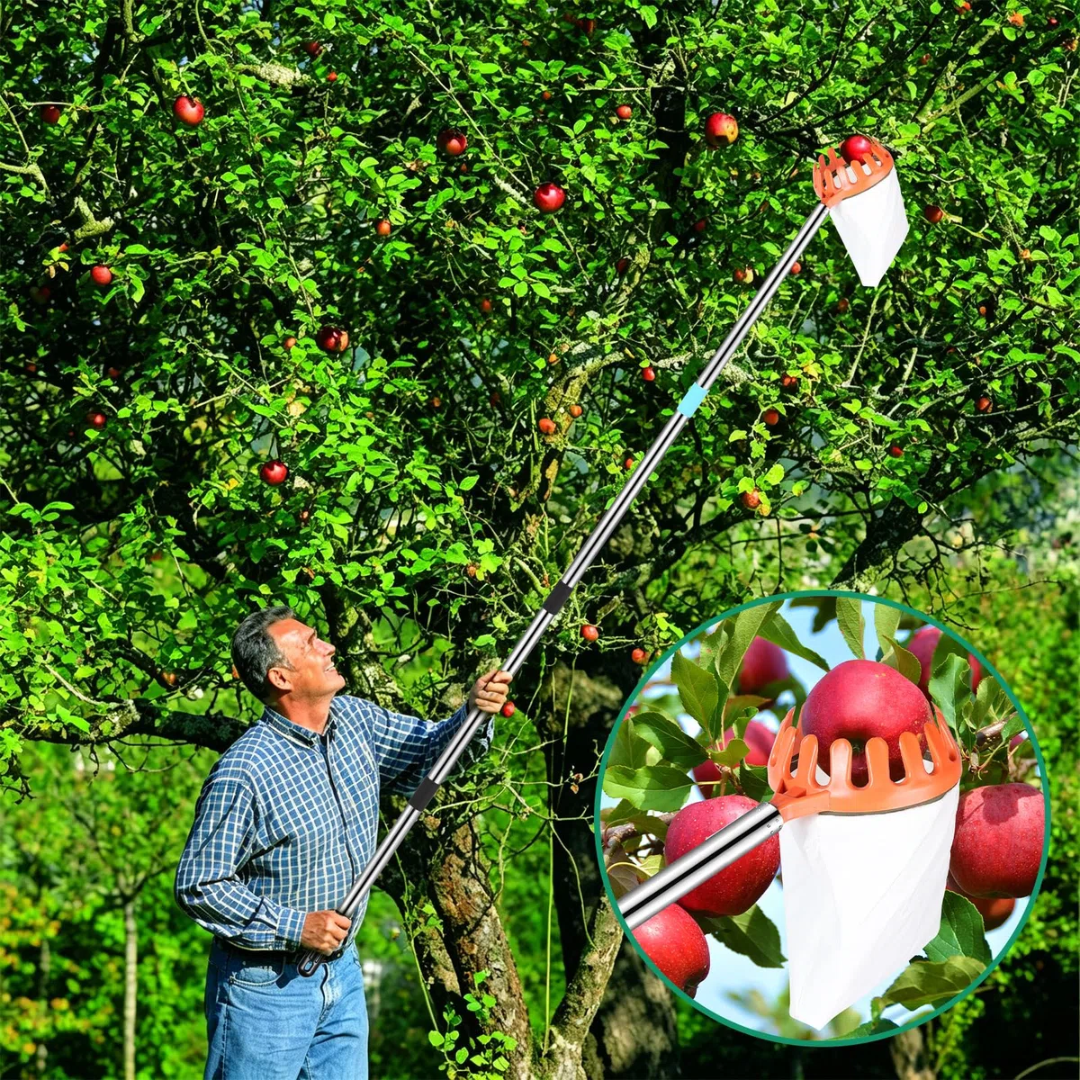DBREAKS Raccogli Frutta, 4,2M Raccogli Mele con Manico Telescopico, Palo Leggero Raccogli Frutta, Cestino con Sacchetto di Cotone, Prugne, Raccoglitore di Ciliegie