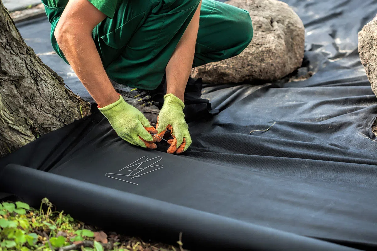 100x Ancoraggio a terra Anti-ROST - testa tonda | ancoraggio a terra in acciaio zincato per il fissaggio di veli di erbacce | fogli di erbacce | recinzioni e reti o per il campeggio - (150x25x2,9 mm)