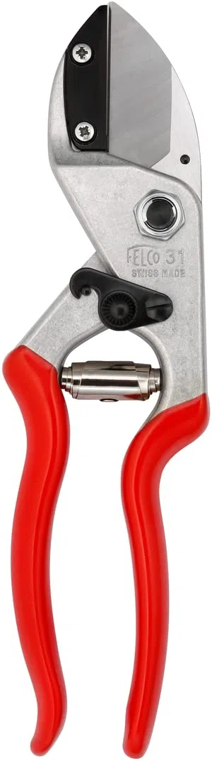 FELCO 31 Cesoia a Incudine, Mano Destra e Sinistra, Mano Grande, Capacità di Taglio 25mm, Legno Duro e Secco, Lama Dritta Bisellata, Made in Switzerland, Garanzia a Vita