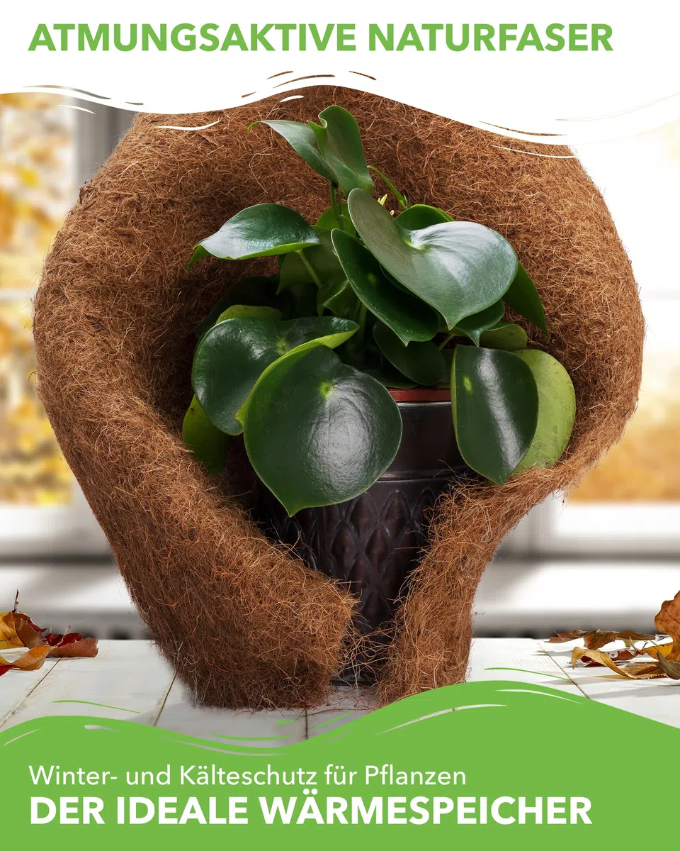 N Nagerteppich.de Tappetino di cocco in 100% fibra di cocco, 75 cm x 5 m, rotolo di tappetino per la coltivazione senza lattice, protezione invernale e contro il freddo per piante, prodotto al metro