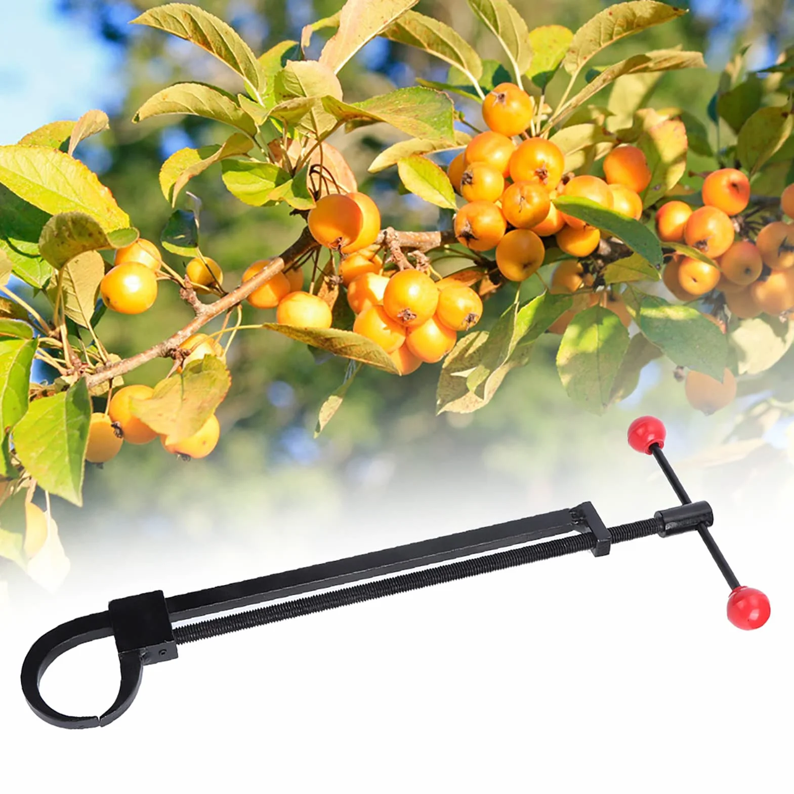 Alvinlite Potatore Ramo Piegatura Tronco Regolatore Piega Attrezzo Attrezzo da giardino Attrezzi da giardinaggio Bonsai