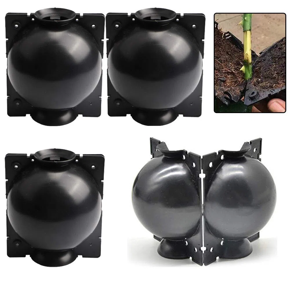 Dispositivo di Radicazione Delle Piante, 4 Pezzi Scatola di Innesto Delle Piante, Scatola per Innesto, per la Riproduzione Asessuata di Piante da Giardino Indoor e Outdoor (Nero)