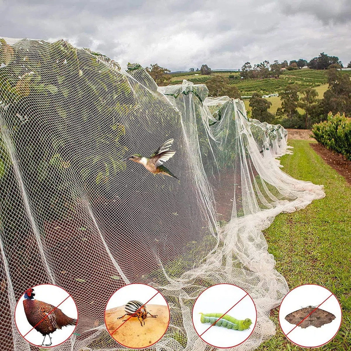 DINGFAN Rete Protettive da Giardino Anti Insetti, Cappuccio Protezione Piante Anti-Bird Net, Insetti Protezione Net Maglia Fine per Serra Piante Fiori, Frutta e Verdura (Size : 5x10m)