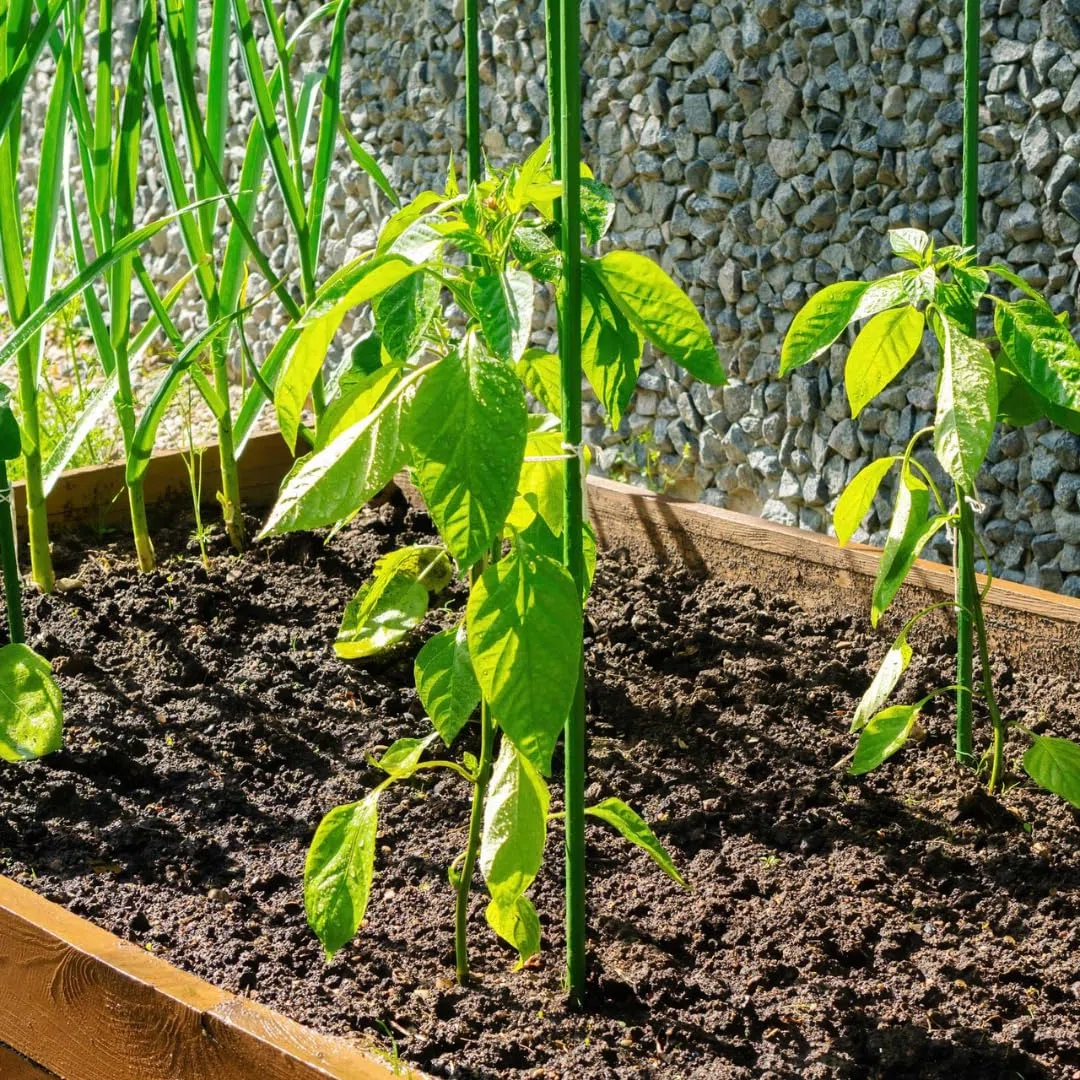Set di 10 Supporti per Piante – Tutori in Acciaio Plastificato di Varie Misure – Pali per Pomodori, Bastoni e Paletti per Orto e Giardinaggio – Accessori per Vasi e Fioraio (210 CM)