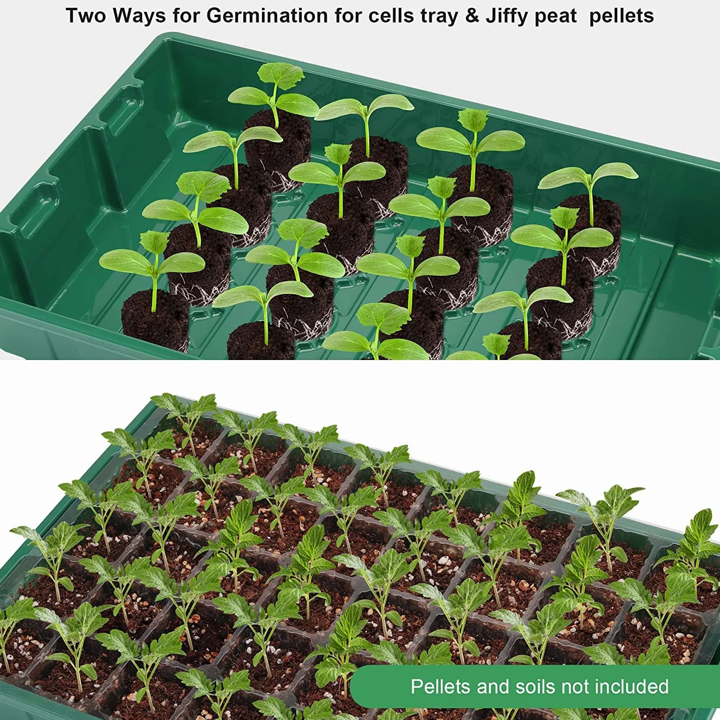 MIXC Semenzaio Vassoio Germinazione, 5 Pezzi 200 Celle Set di Mini Serra da Interno con Coperchio Ventilato Regolabile e Etichetta della Pianta per Semi e Piantine, Verde