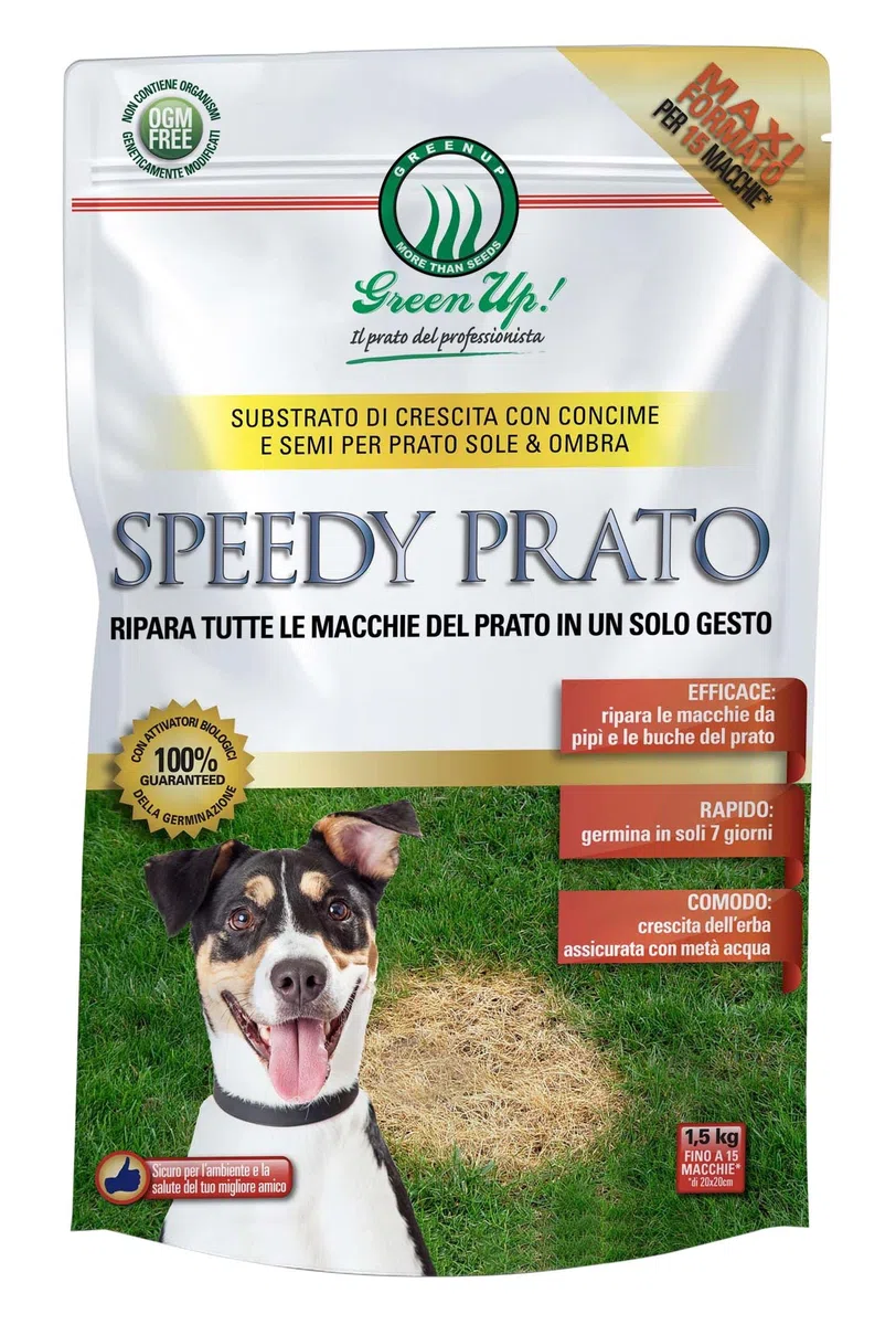 SEMI DI PRATO + CONCIME PER PRATO ERBA RIPARATORE DELLE ZONE DEGRADATE DEL PRATO CHIAZZE MACCHIE NEL PRATO 1,5 KG AMDGarden