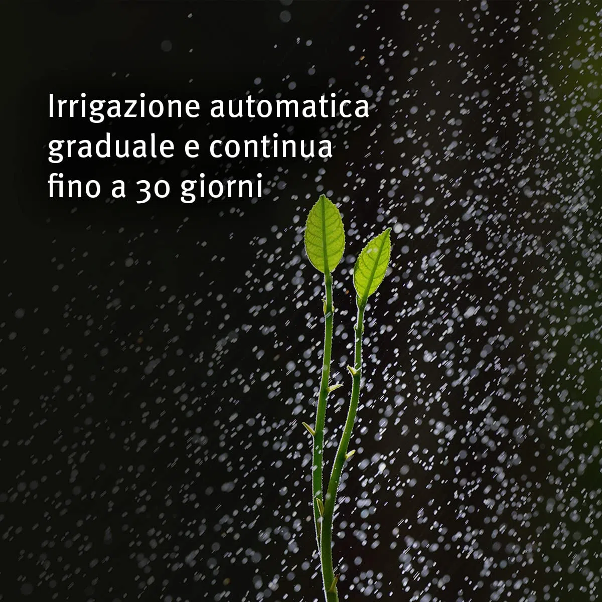 Aqua Control Biogel, Acqua Solida per le Tue Piante, Ideale per l'Irrigazione Durante le Vacanze, Fino a 30 Giorni Senza Irrigazione, 400 ml, Confezione da 5