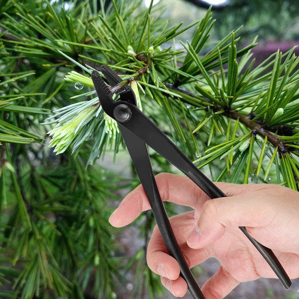 Pinza Bonsai, Pinza per Filo da Allenamento per Bonsai Attrezzi da Giardino per Bonsai Pinza Filo Bonsai in Lega di Acciaio al Manganese per Attrezzo da Giardinaggio