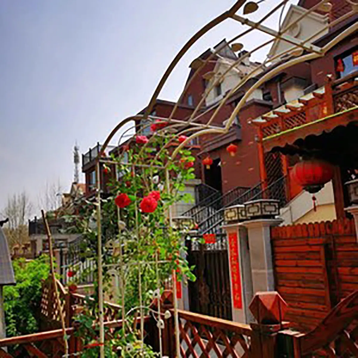 SDdPulse Arco da giardino, archi da giardino retrò alla moda, autoportante, in ferro battuto, piante rampicanti, pergolato, arco per rose da esterno, più resistente alle intemperie (verde vintage, 160