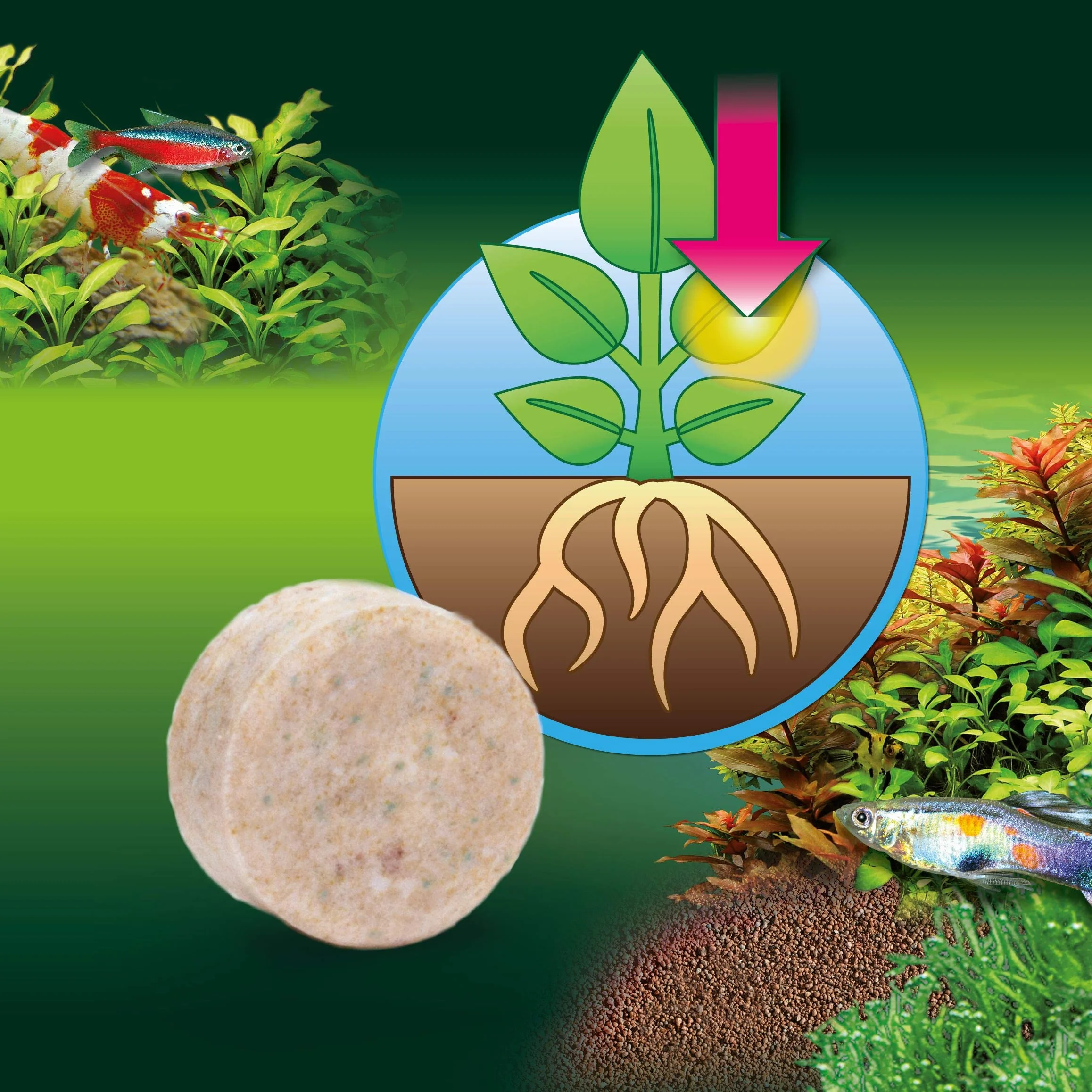 JBL - Fertilizzante per Piante per acquari d'Acqua Dolce FerropolTabs 2020000", 30 compresse