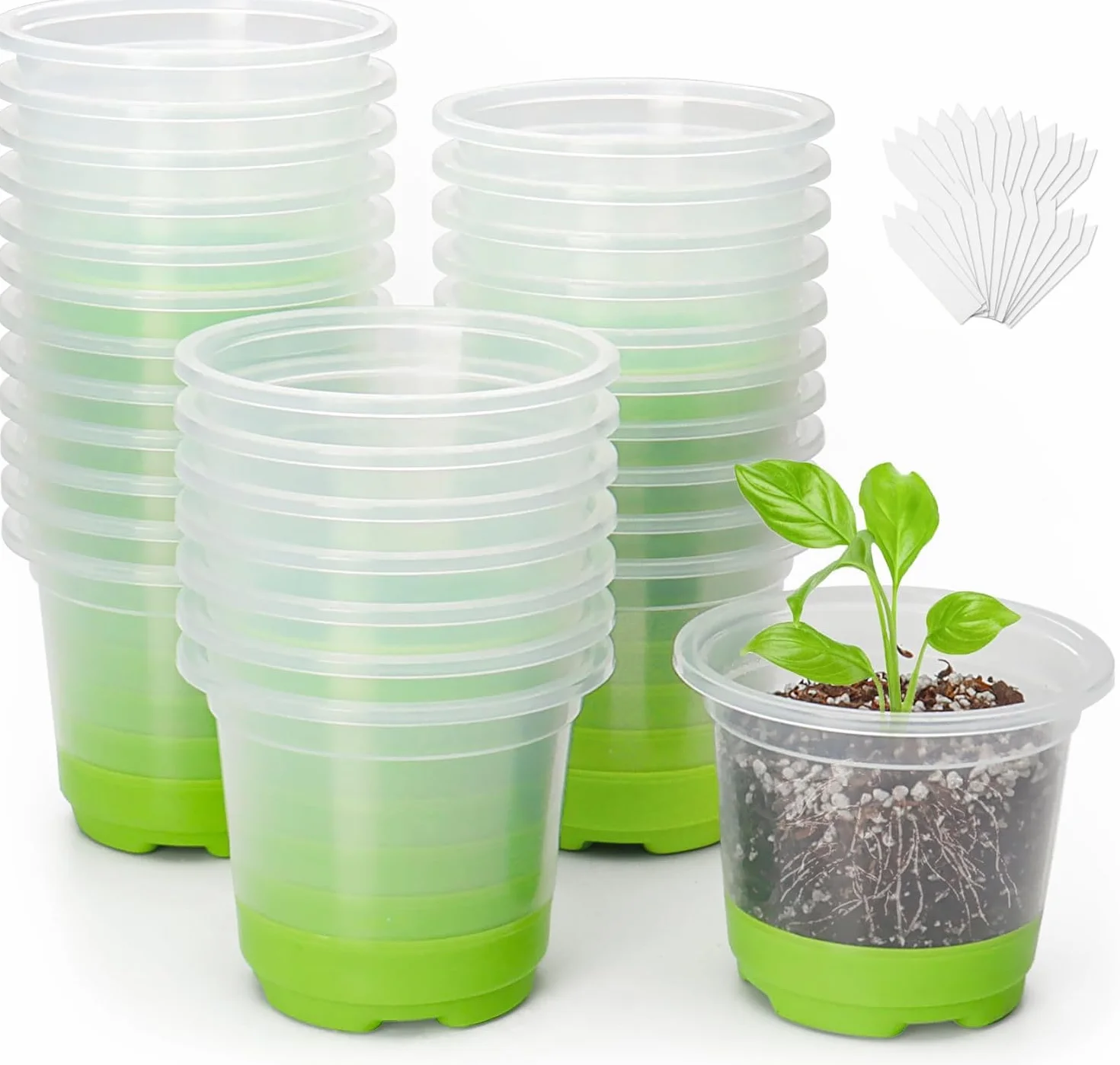 Vasi da coltivazione, 24 pezzi, 10 cm, trasparenti con base in silicone, Vasi per piante in plastica riutilizzabili, Vasi per piante trasparenti per piante grasse, Piantine per piante, Verde