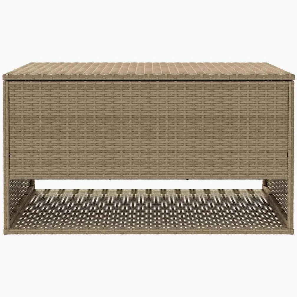 Cassapanca per cuscini da esterno beige 100 x 55 x 55,5 cm polyrattan, scatola di immagazzinaggio degli attrezzi da giardino per esterni, balcone o terrazza